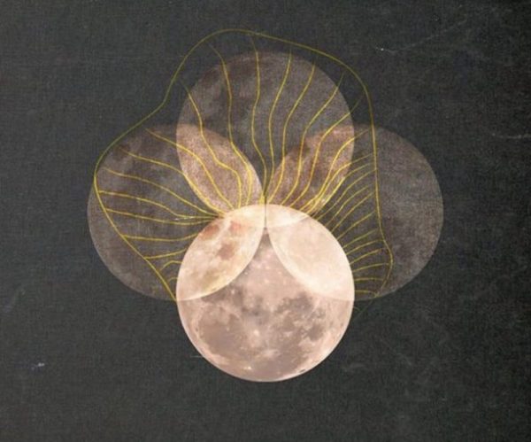 Wild Moon Medicine ~ A New Moon Eclipse Ritual & Sacred Ceremony