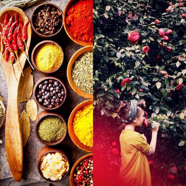 Introduction to Ayurveda & Aromatherapy